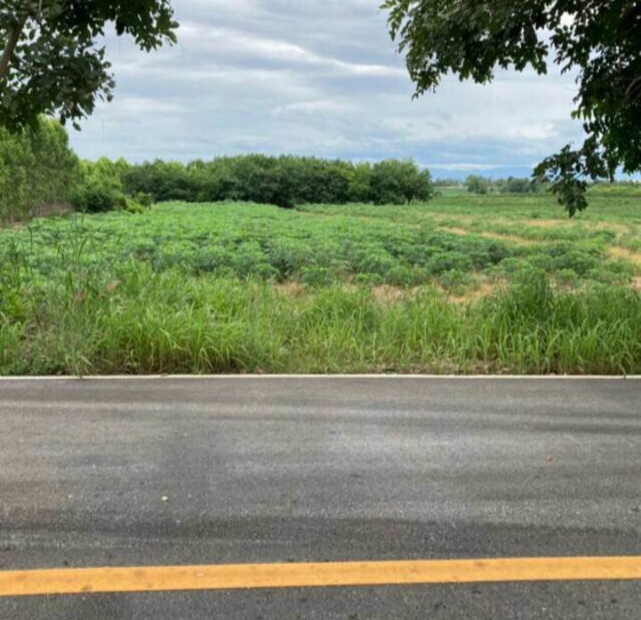 ขายที่ดินสวยราคาถูก-ติดทางสาธารณะ-ตำบลไตรตรึงษ์-อำเภอเมืองกำแพงเพขร