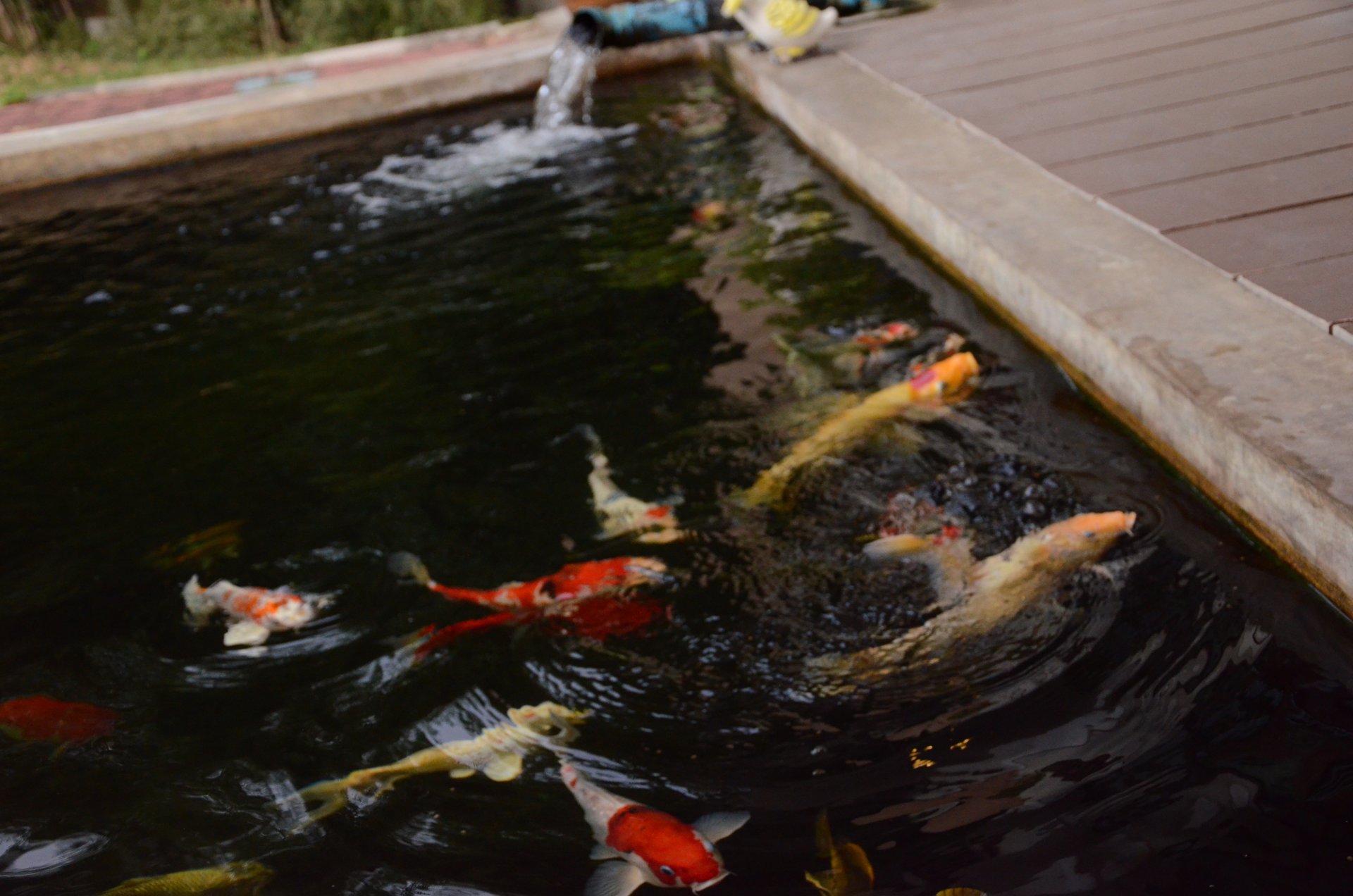 บ้านหลีกพักจากเมืองกรุง-มีความเป็นส่วนตัว-บนพื้นที่-1ไร่-สไตล์tropical-modern-ติดแม่น้ำป่าสัก