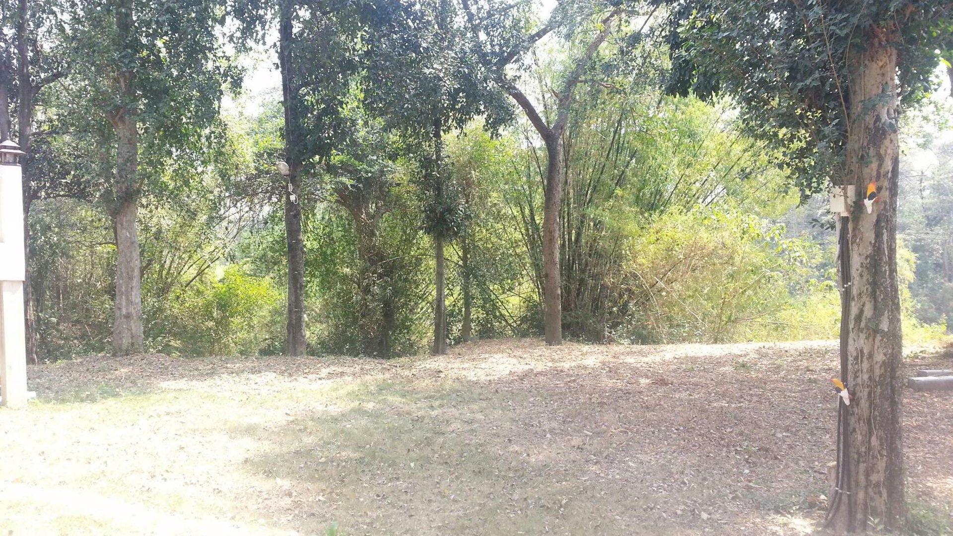 บ้านหลีกพักจากเมืองกรุง-มีความเป็นส่วนตัว-บนพื้นที่-1ไร่-สไตล์tropical-modern-ติดแม่น้ำป่าสัก