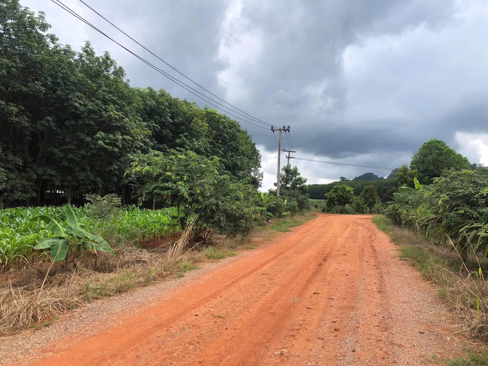 ขายด่วน-ที่ดินสวนยาง-ตคลองม่วง-อปากช่อง-จังหวัด-นครราชสีมา-22ไร่-91ตรวโฉนดครุฑแดง-พร้อมโอน