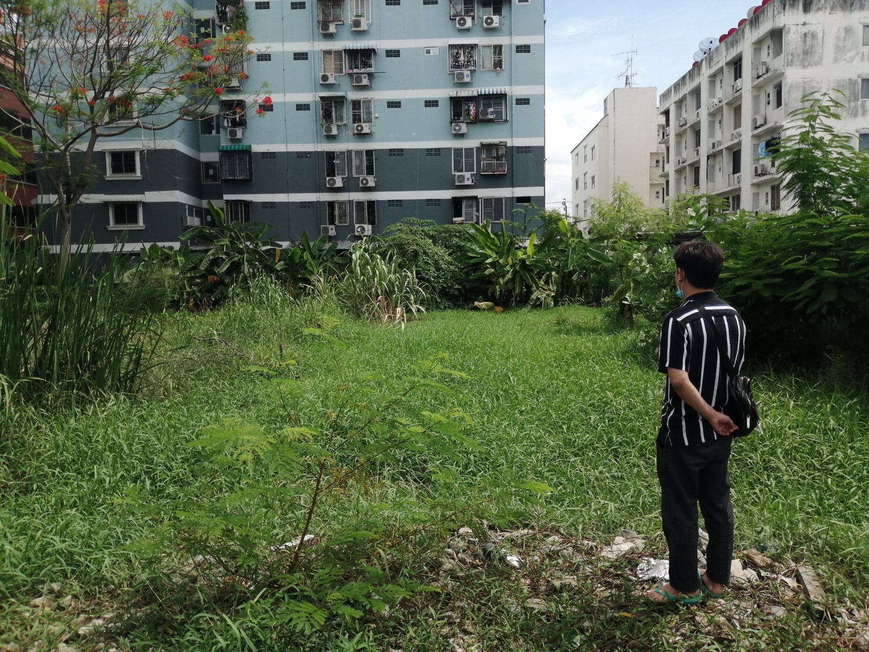 ขายที่ดิน-ดอนเมือง-ซอยช่างอากาศอุทิศ8แยก1-เนื้อที่1016ตรวราคา6ล้านพร้อมโอน