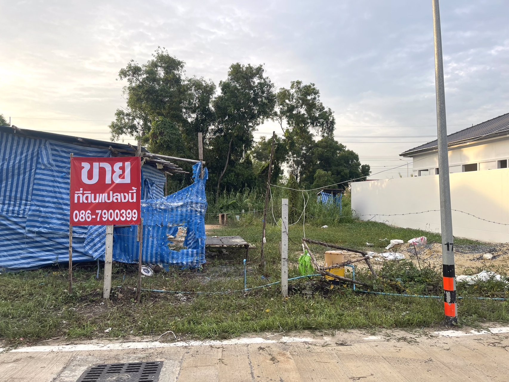 ขายที่ดิน-100ตรว-ซอยบงกช71