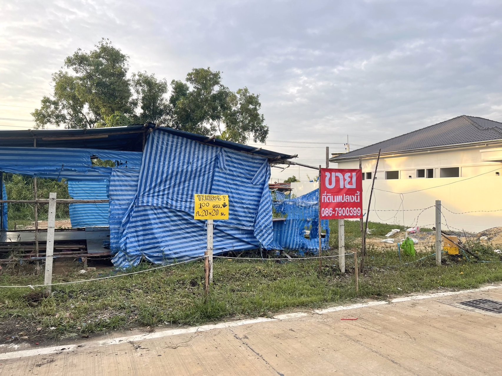 ขายที่ดิน-100ตรว-ซอยบงกช71