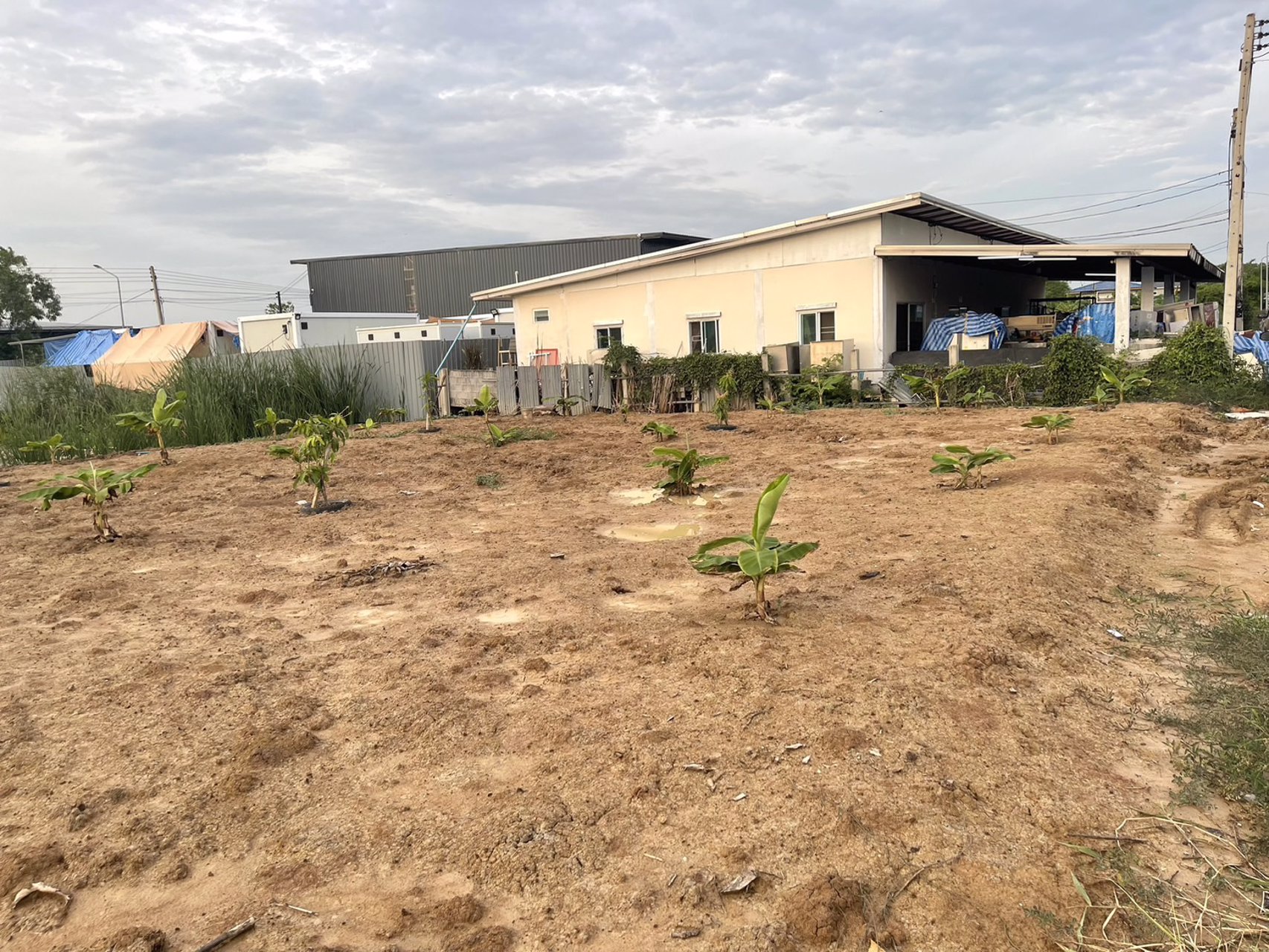 ขายที่ดิน-200ตรว-ซอยบงกช71