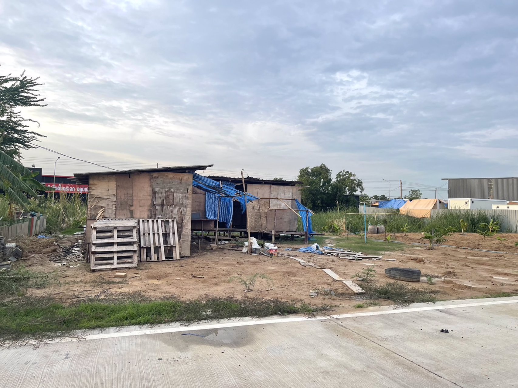 ขายที่ดิน-200ตรว-ซอยบงกช71