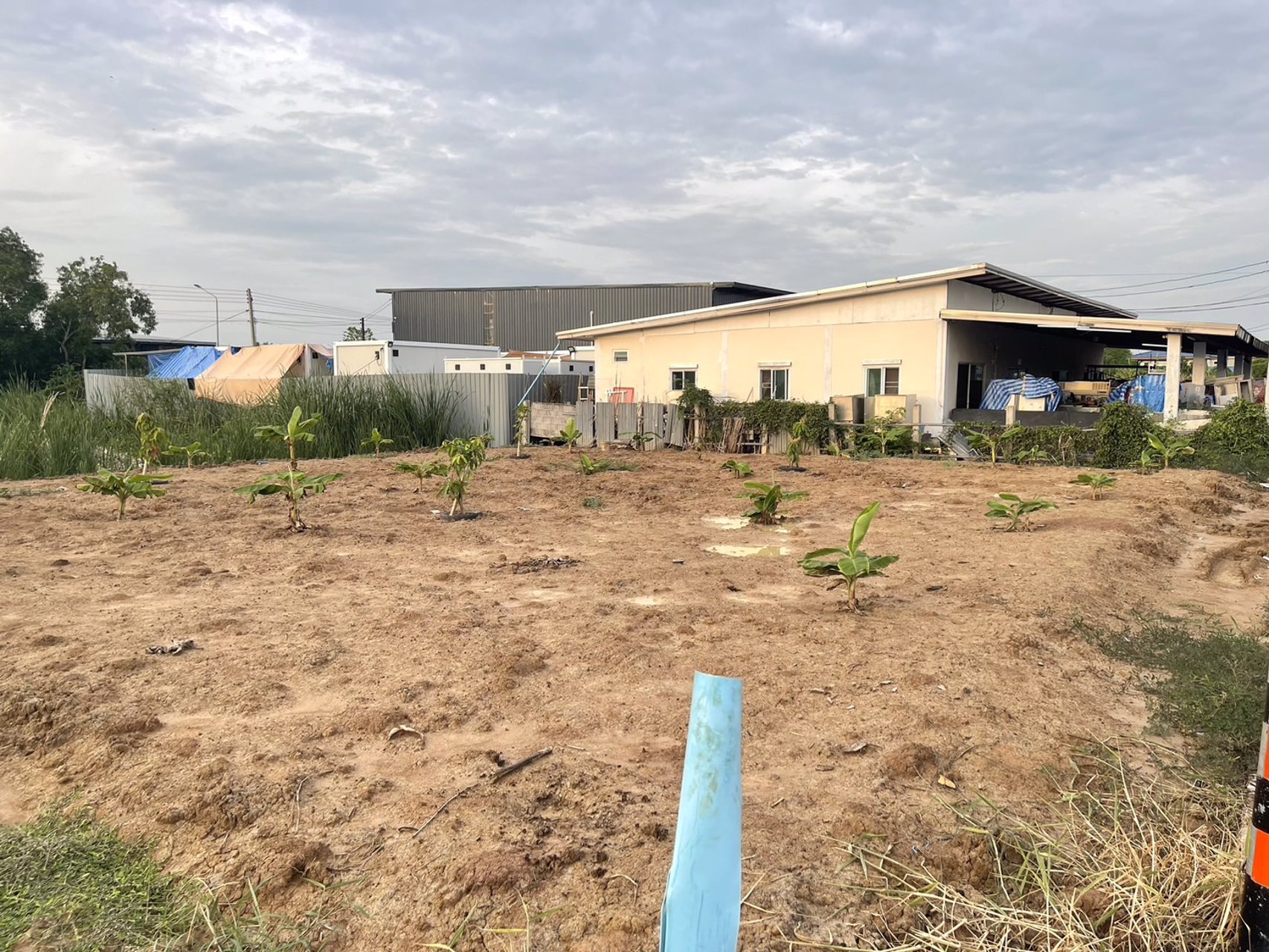 ขายที่ดิน-200ตรว-ซอยบงกช71