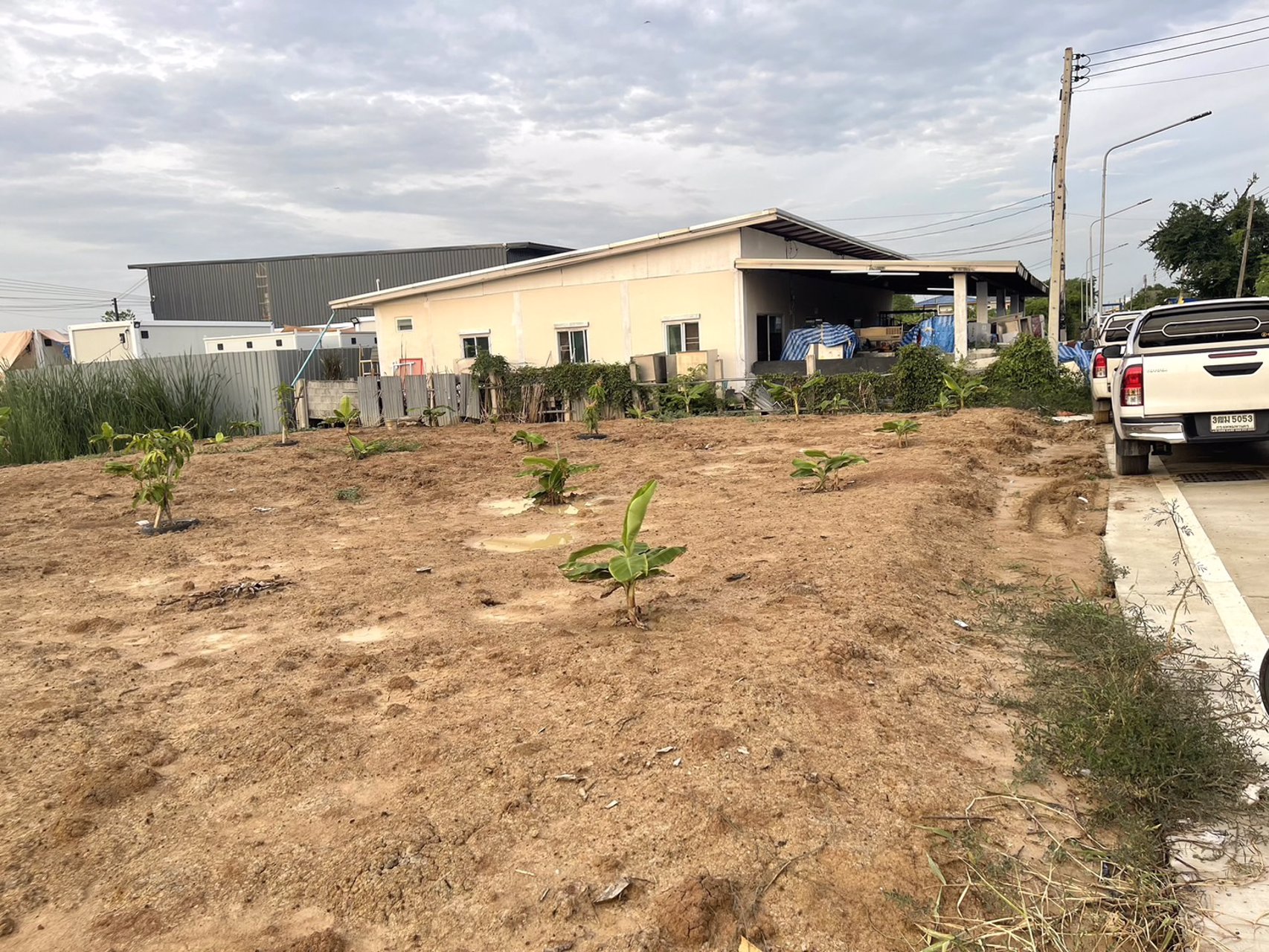 ขายที่ดิน-200ตรว-ซอยบงกช71