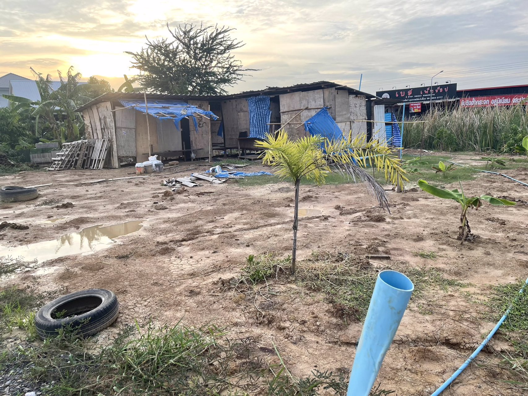 ขายที่ดิน-200ตรว-ซอยบงกช71