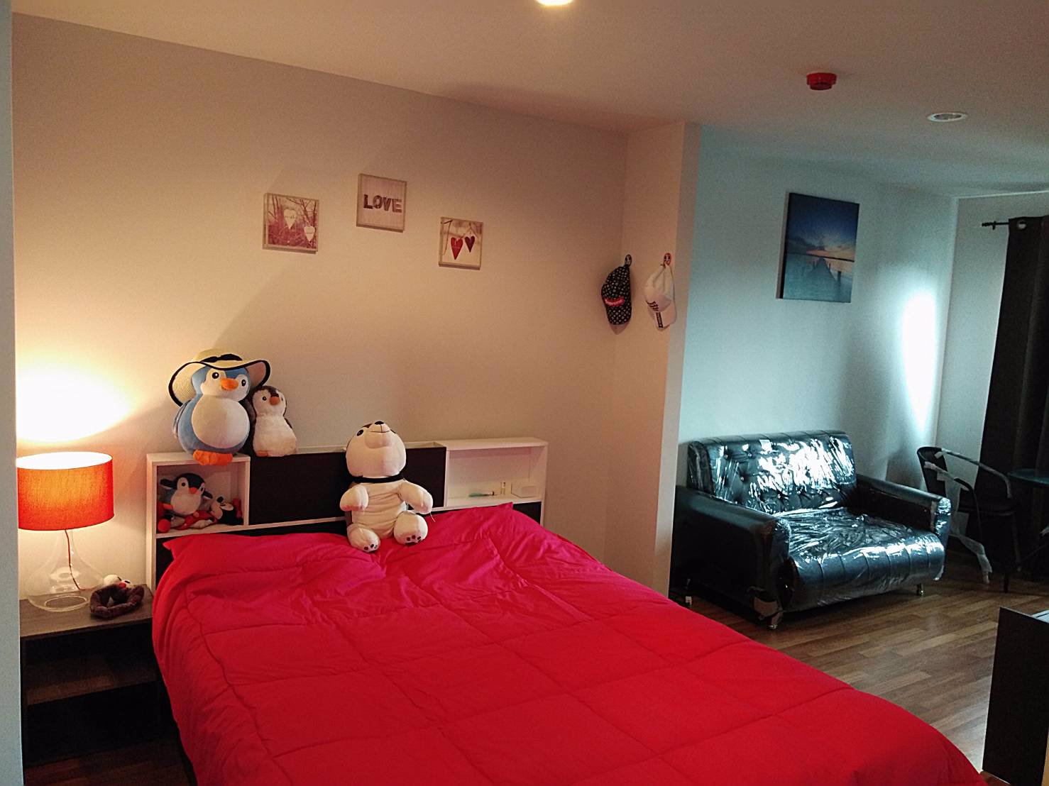 คอนโดใหม่ให้เช่า-ซอย-sukhumvit-81-near-lotus-bts-onnut-century-plaza-ใกล้-bts-อ่อนนุช-โลตัส