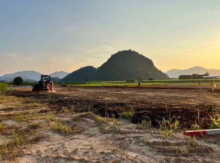 ขายที่ดิน-บ้านห้วยป่าปก-หลัง-รรห้วยป่าปก-