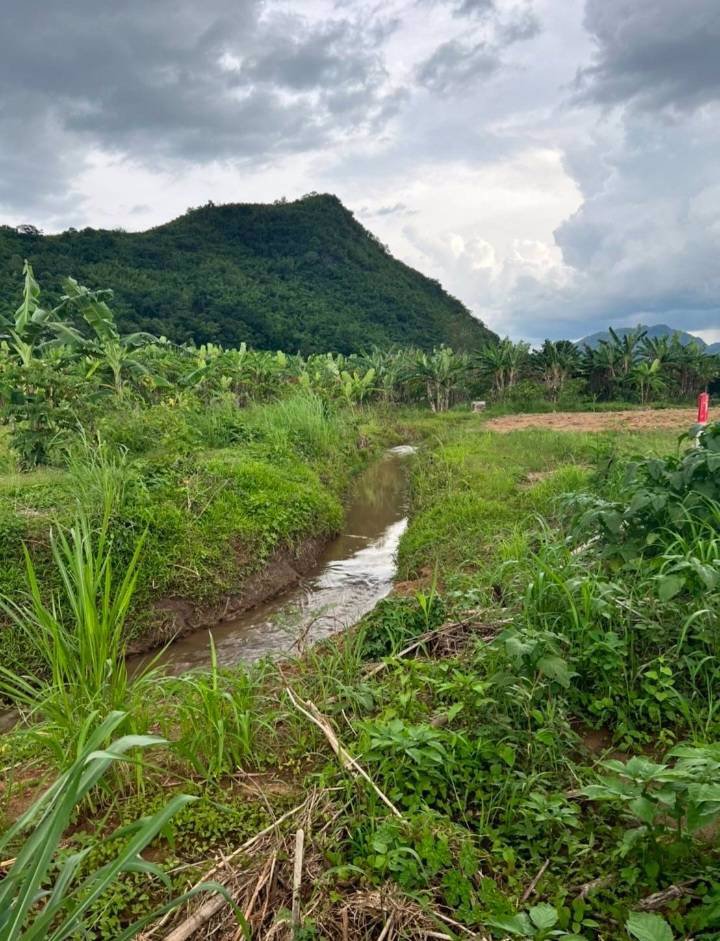 ขายที่ดิน-บ้านห้วยป่าปก-หลัง-รรห้วยป่าปก-