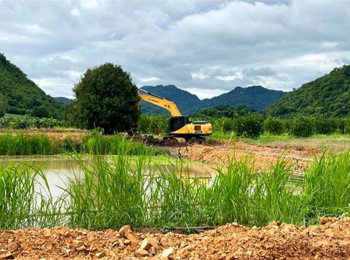 ขายที่ดิน-บ้านห้วยป่าปก-หลัง-รรห้วยป่าปก-