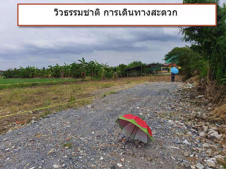 ขายที่ดิน-หมู่บ้านพฤกษา-3-บางบัวทอง-ซอย59-ถมแล้ว-0875185151-ใกล้ตลาดเซ็นทรัลเวสเกต