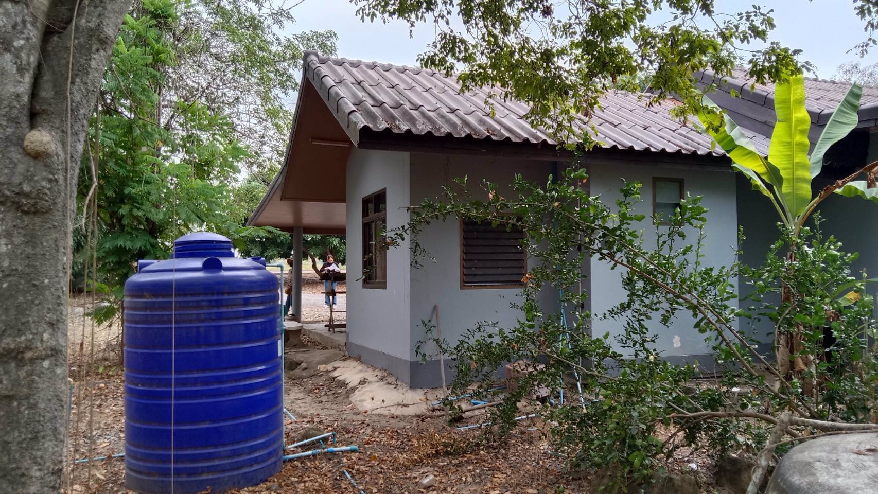 ขายบ้านสวน-พิกัดสวนผึ้ง-เนื้อที่-1ไร่-1งาน-33-ตรว