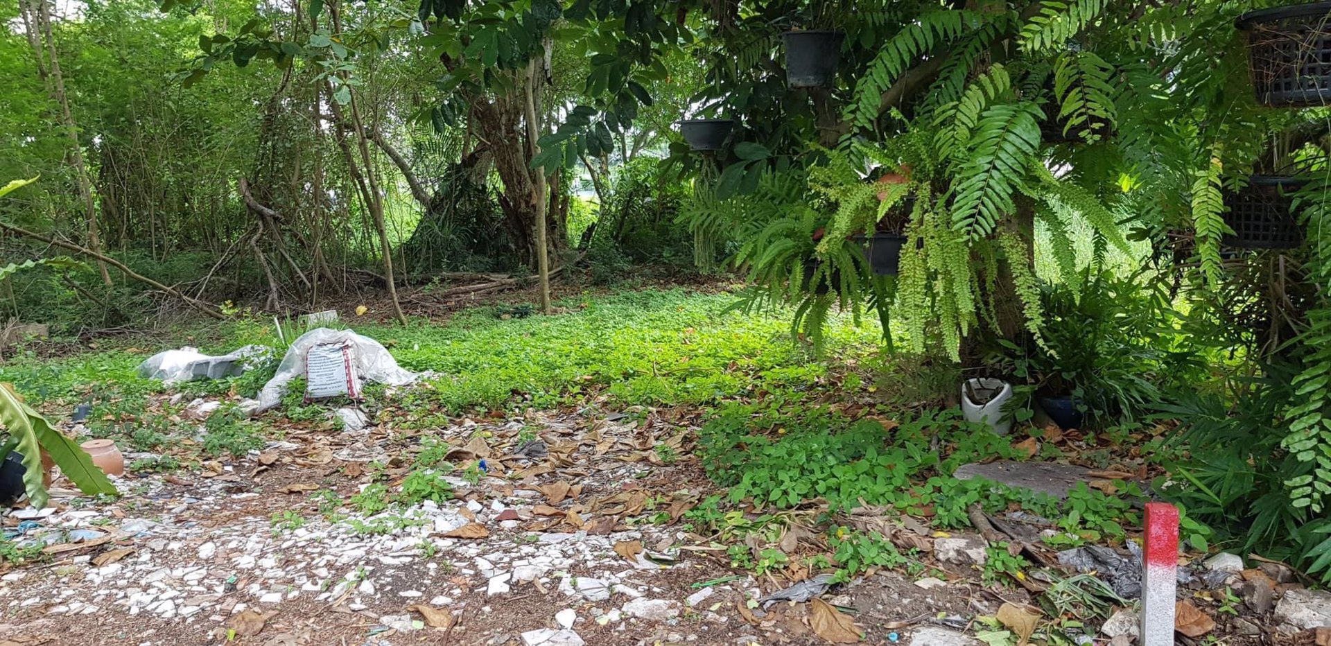 ขายที่ดินเปล่าถมแล้ว-ที่สวย-ทำเลดี-ถบางแวก-พุทธมณฑลสาย-2-กรุงเทพ