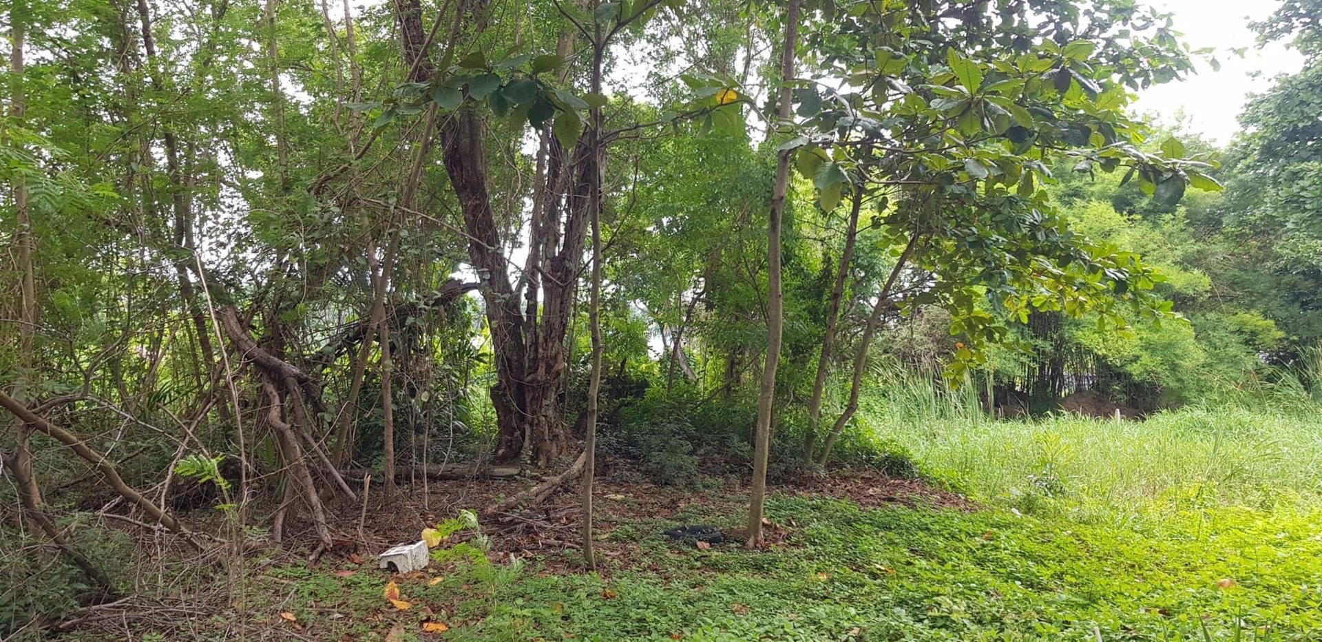 ขายที่ดินเปล่าถมแล้ว-ที่สวย-ทำเลดี-ถบางแวก-พุทธมณฑลสาย-2-กรุงเทพ