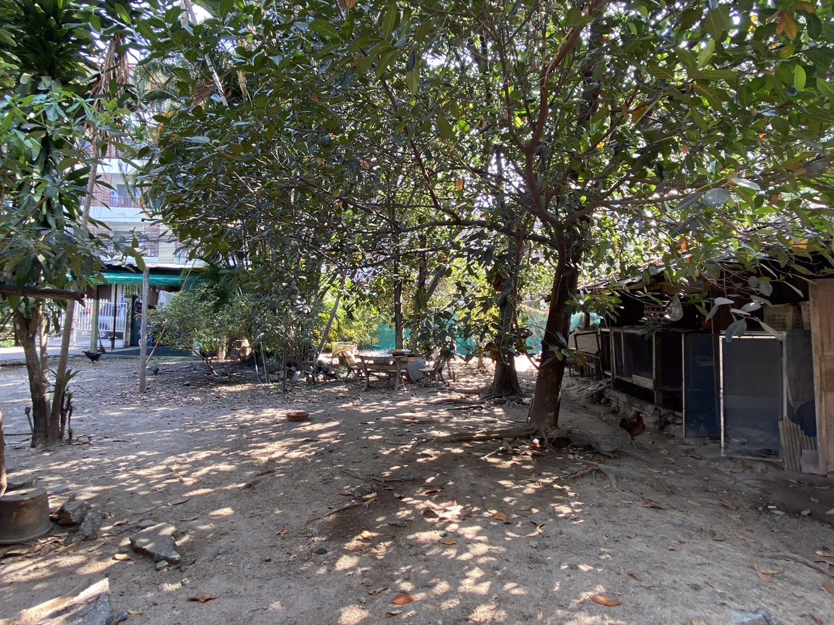 ที่ดินเชียงใหม่-ที่ดินสวย-ทำเลดี-อำเภอเมืองเชียงใหม่-เหมาะแก่การลงทุน