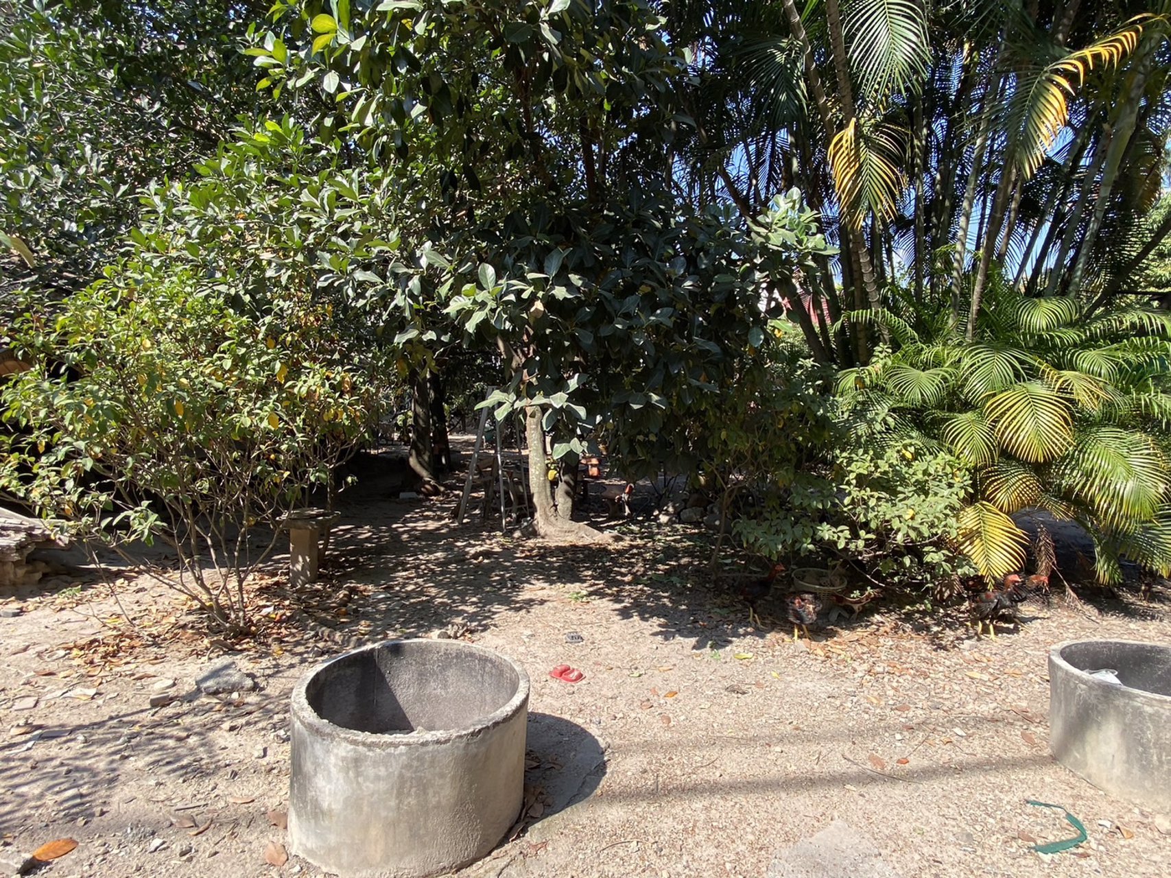 ที่ดินเชียงใหม่-ที่ดินสวย-ทำเลดี-อำเภอเมืองเชียงใหม่-เหมาะแก่การลงทุน