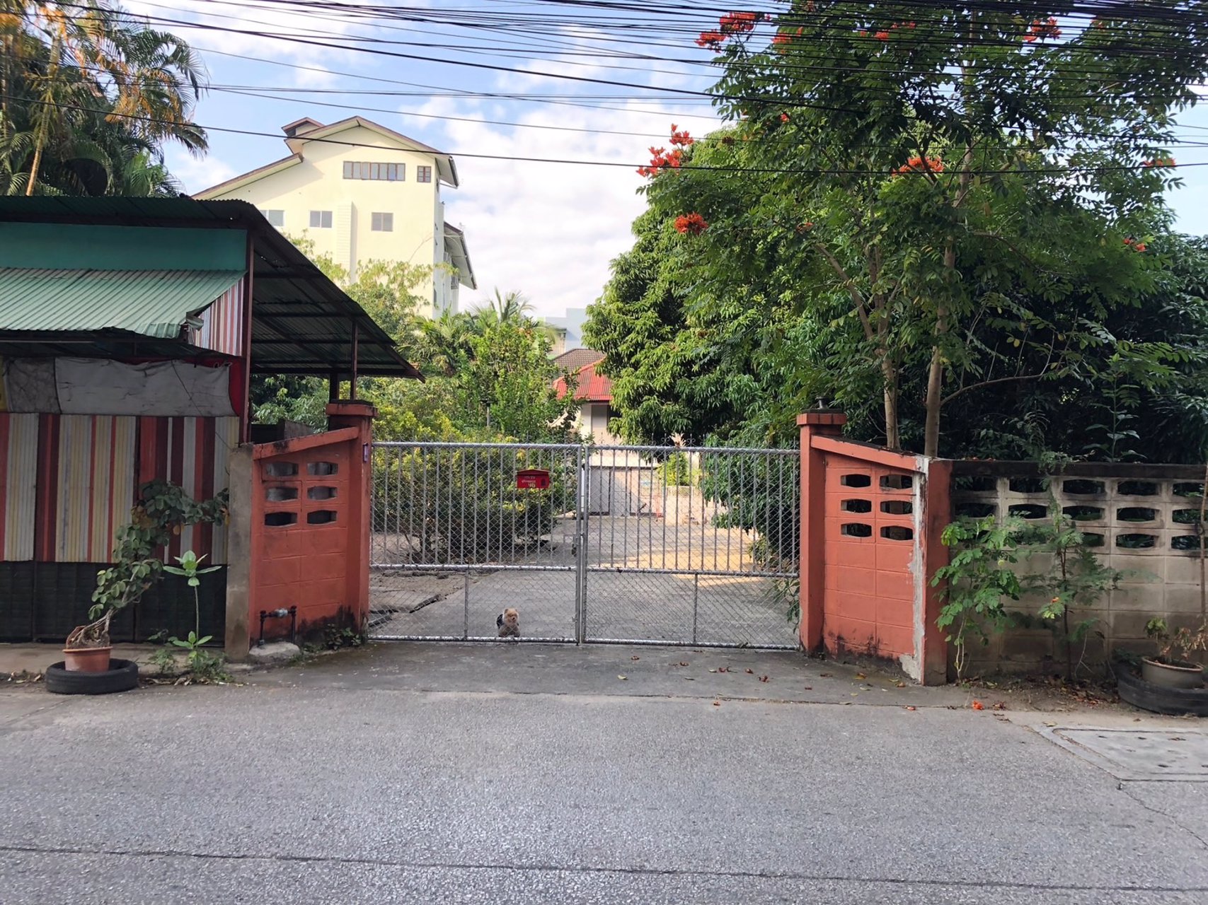 ที่ดินเชียงใหม่-ที่ดินสวย-ทำเลดี-อำเภอเมืองเชียงใหม่-เหมาะแก่การลงทุน