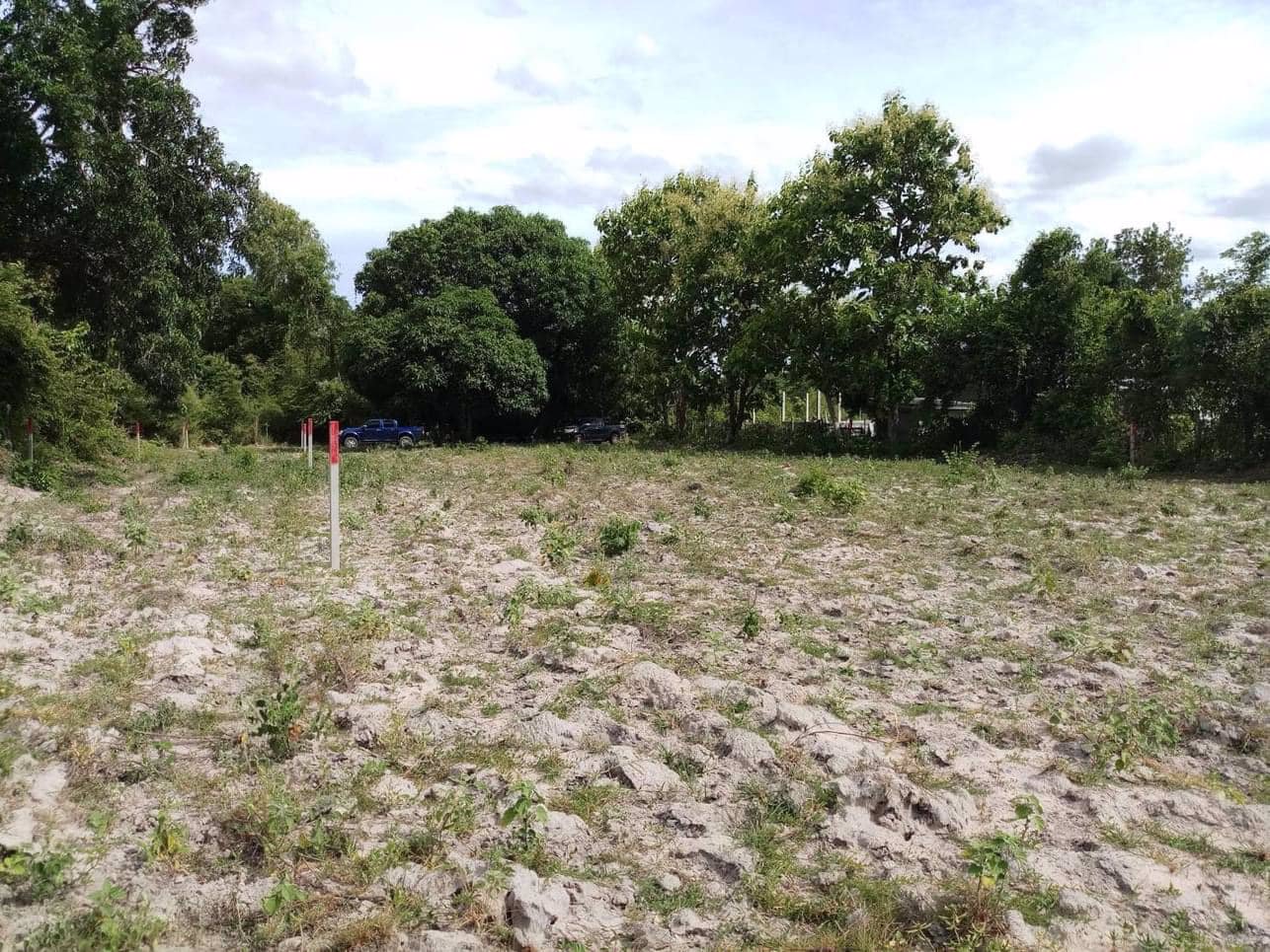 ขายด่วน-ที่ดินจัดสรรแล้ว-ขายยกแปลง