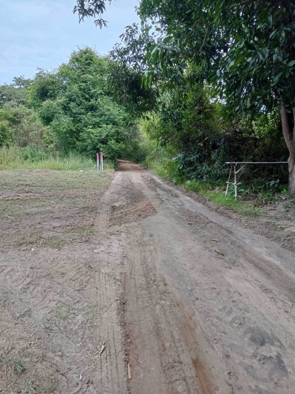 ขายด่วน-ที่ดินจัดสรรแล้ว-ขายยกแปลง