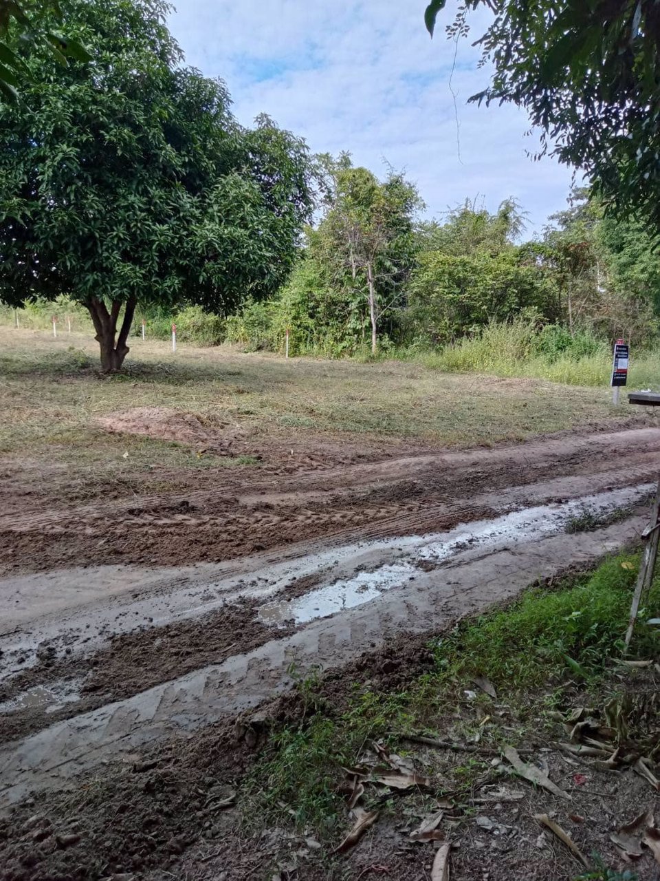 ขายด่วน-ที่ดินจัดสรรแล้ว-ขายยกแปลง