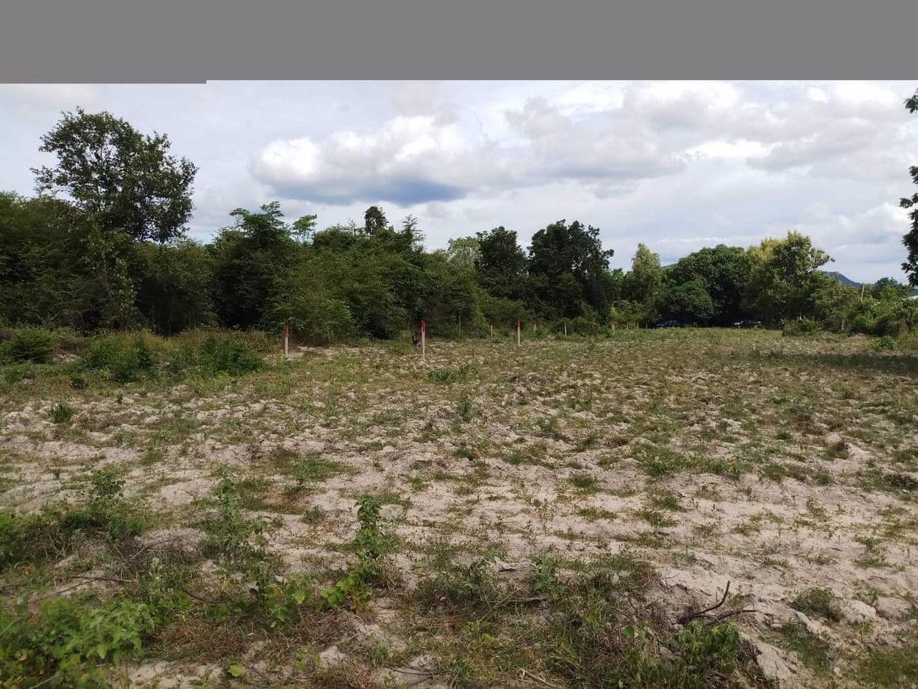 ขายด่วน-ที่ดินจัดสรรแล้ว-ขายยกแปลง