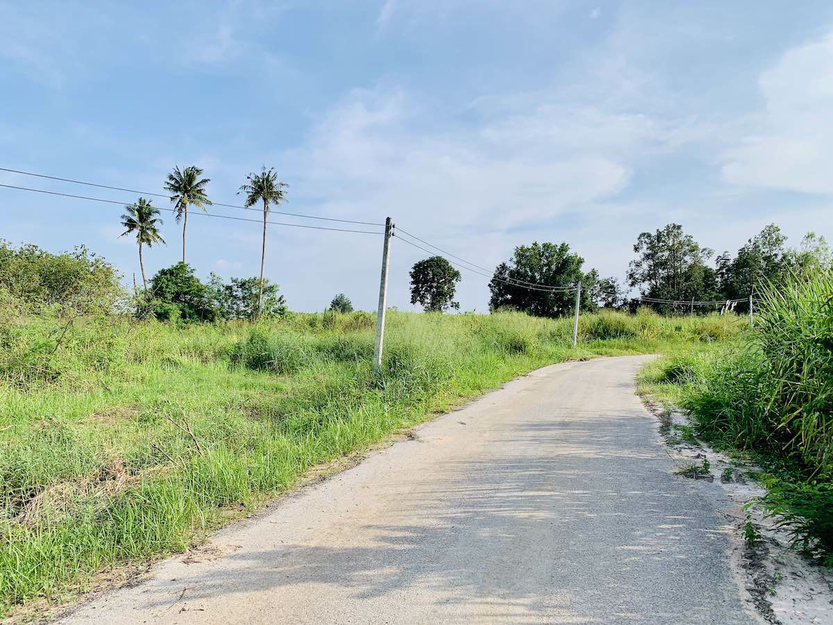 ขายด่วน-ที่ดินอสวนผึ้ง-30-ไร่-พร้อมต้นสัก-2000-กว่าต้น-อายุ-14-ปี-ถูกที่สุดในเวลานี้