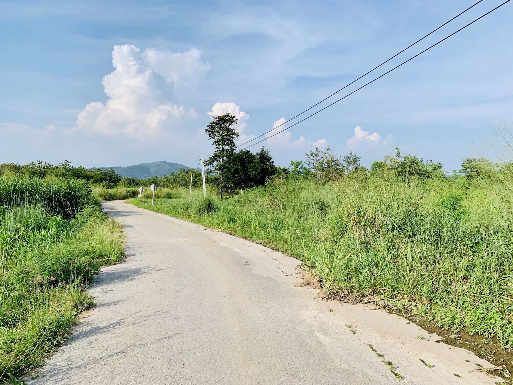 ขายด่วน-ที่ดินอสวนผึ้ง-30-ไร่-พร้อมต้นสัก-2000-กว่าต้น-อายุ-14-ปี-ถูกที่สุดในเวลานี้