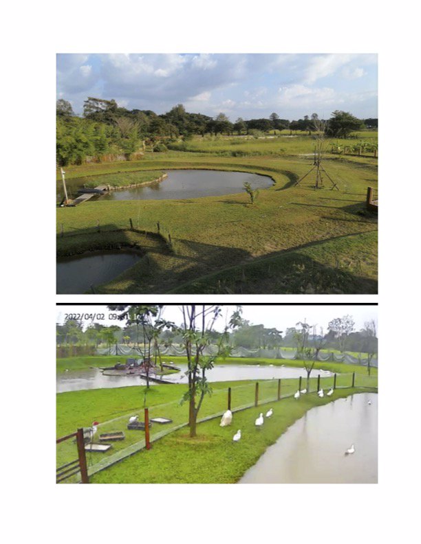 ขายที่ดินใกล้วงแหวนรอบสาม-4-ไร่-1-งาน-98-ตารางวา-ใกล้แยกท่ารั้ว-เชียงใหม่