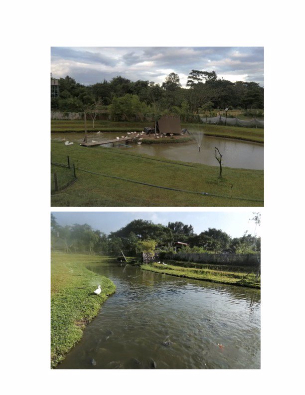 ขายที่ดินใกล้วงแหวนรอบสาม-4-ไร่-1-งาน-98-ตารางวา-ใกล้แยกท่ารั้ว-เชียงใหม่