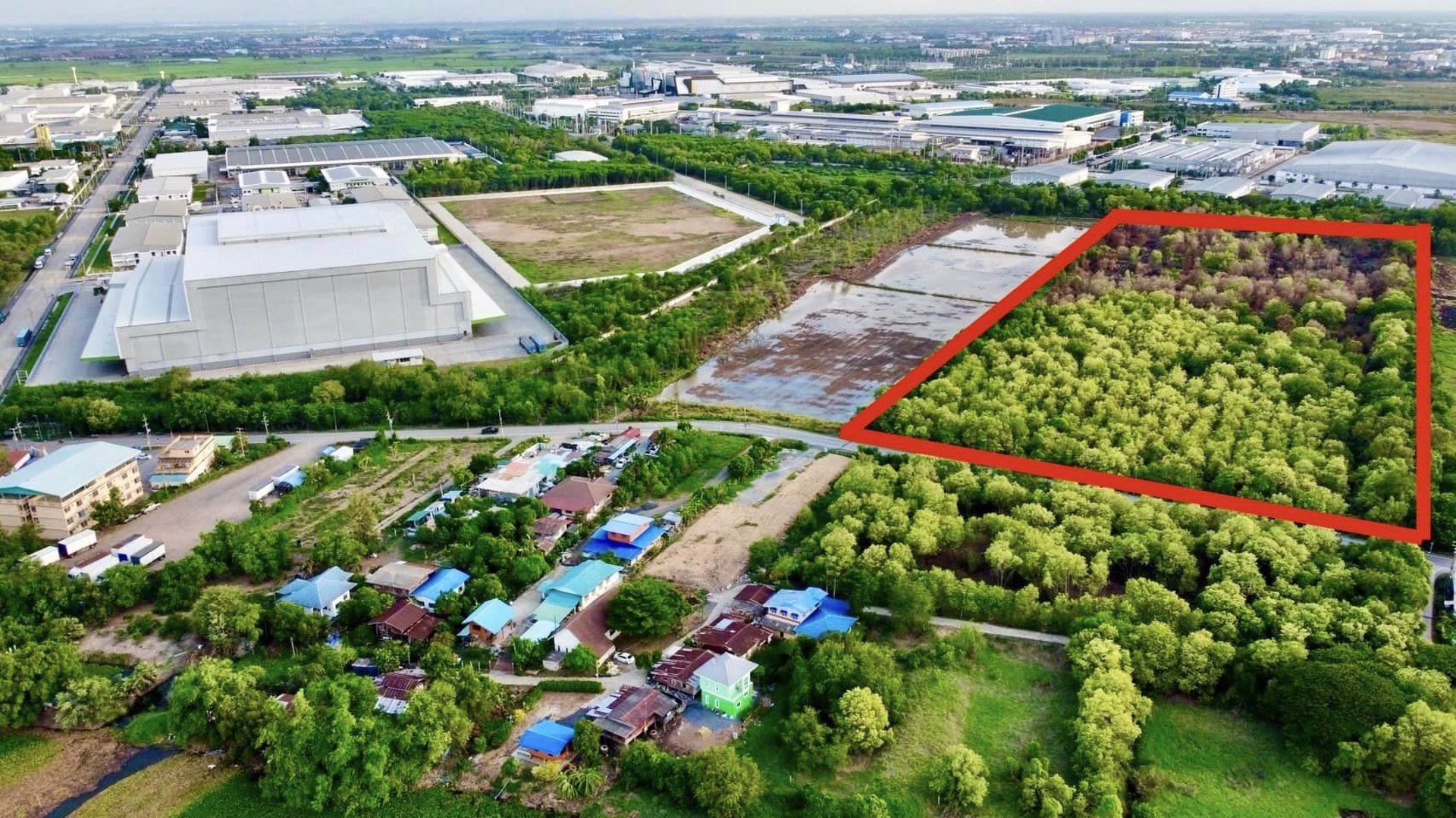 ขายด่วน-ที่ดินโรจนะ-อยุธยา