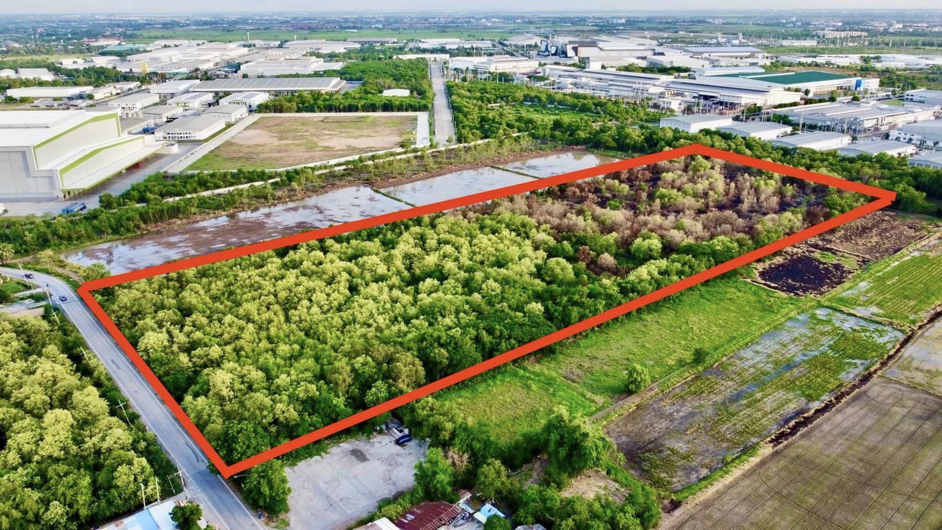 ขายด่วน-ที่ดินโรจนะ-อยุธยา