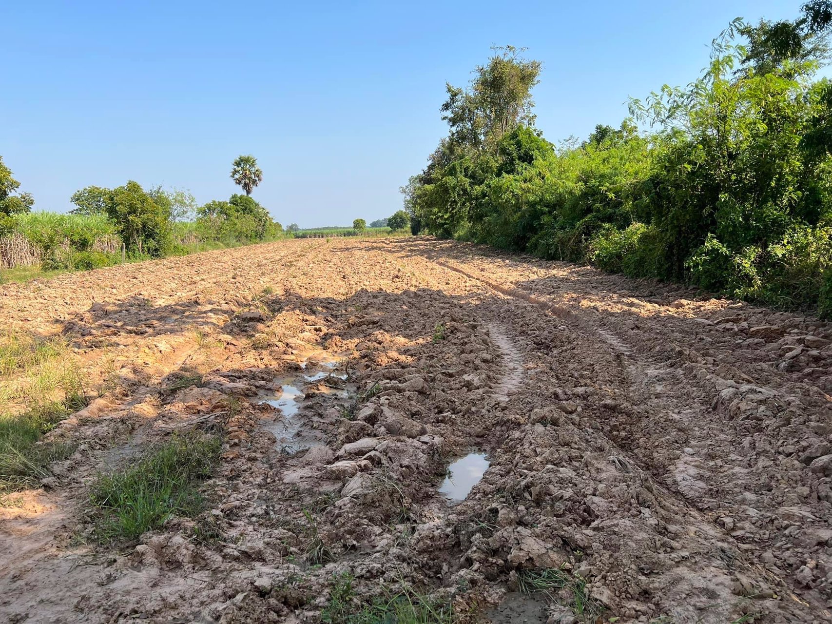 ที่ดิน-6-1-66ไร่-หลังการไฟฟ้านํ้าพอง-ขอนแก่น