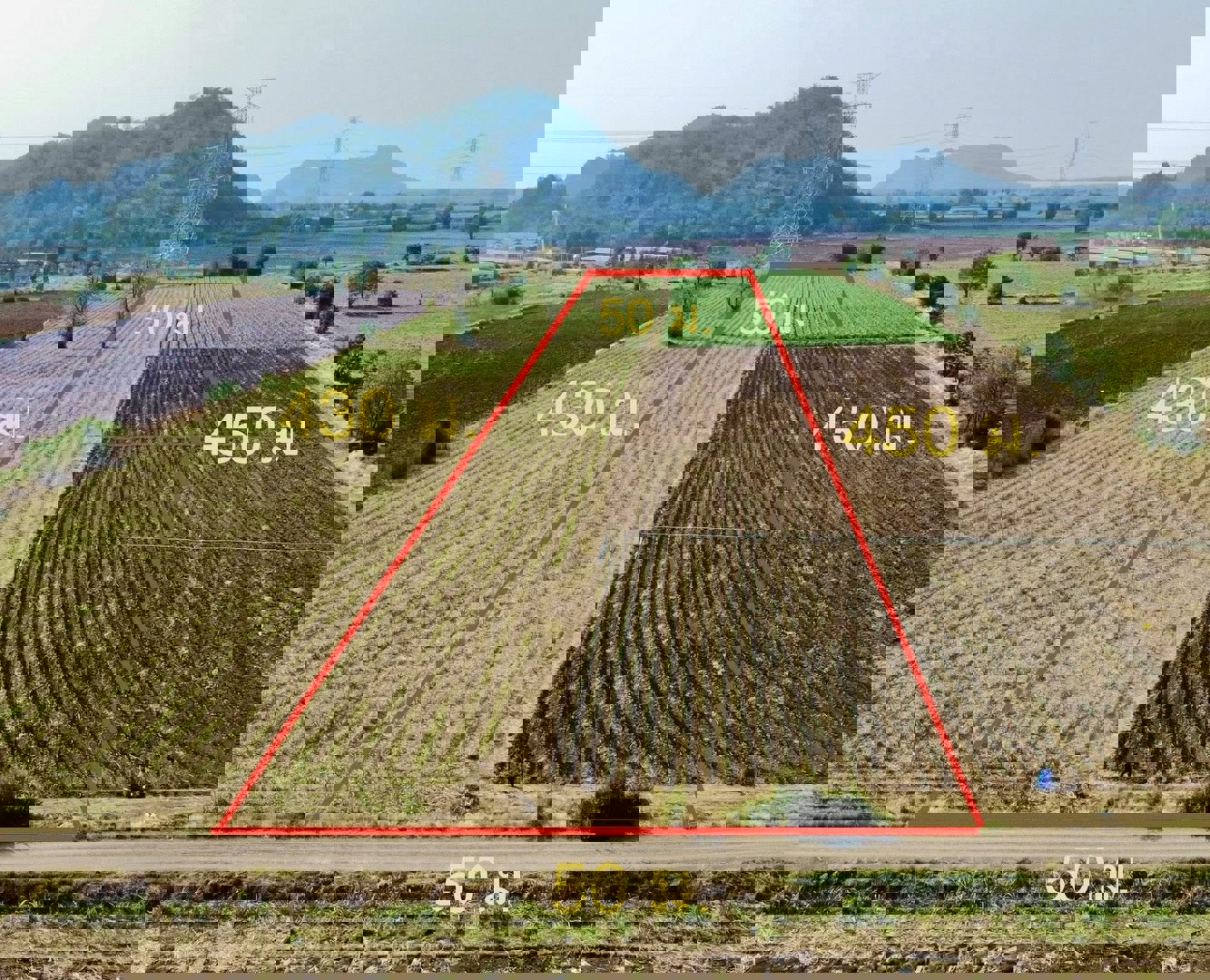 ขายที่ดิน-ตากฟ้า-นครสวรรค์-ราคาถูก-ไม่ถึงแสน-