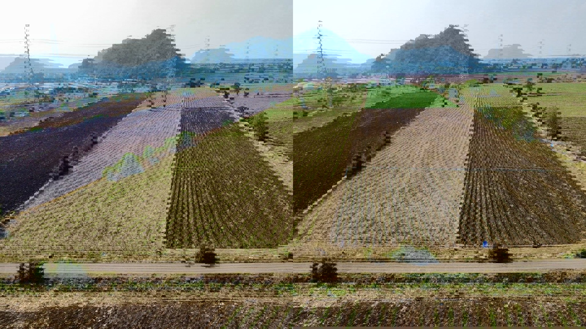 ขายที่ดิน-ตากฟ้า-นครสวรรค์-ราคาถูก-ไม่ถึงแสน-