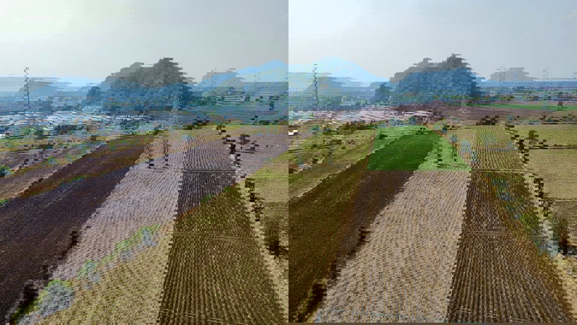 ขายที่ดิน-ตากฟ้า-นครสวรรค์-ราคาถูก-ไม่ถึงแสน-