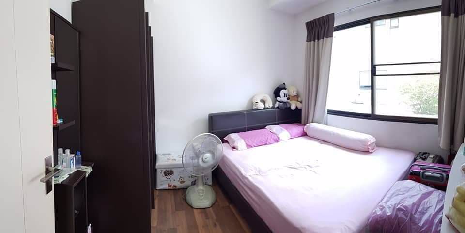 ขายด่วน-the-terrace-รามอินทรา-65-ใกล้ทางด่วน-รถไฟฟ้า-หน้าปากซอย-อยู่อาศัยก็ดี-ทำเป็นออฟฟิศก็ได้