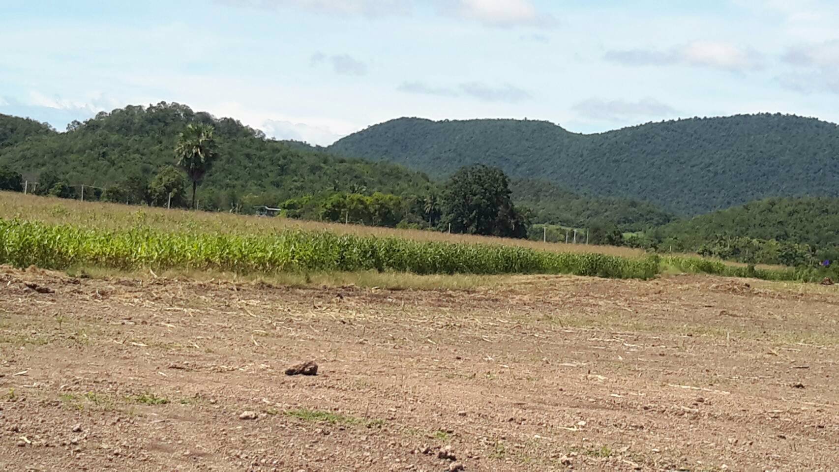 แบ่งขาย-ที่2ไร่ขึ้นไป-ที่สวยวิวเขาล้อมรอบบรรยากาศดี