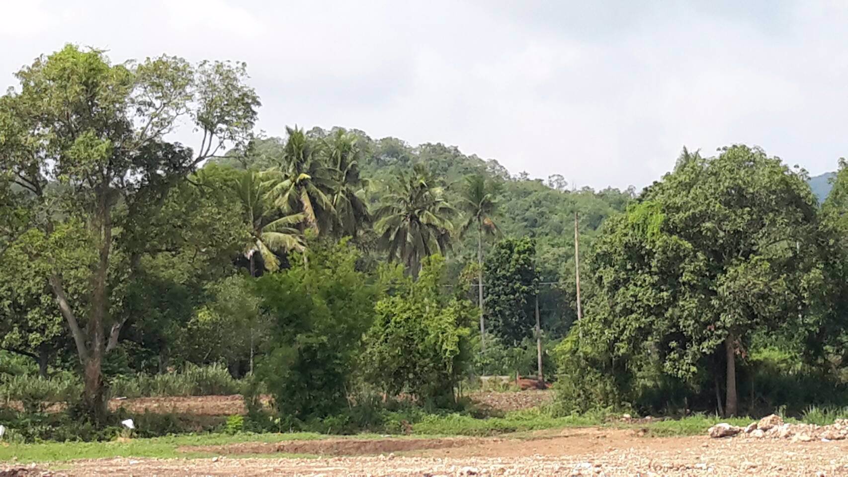 แบ่งขาย-ที่2ไร่ขึ้นไป-ที่สวยวิวเขาล้อมรอบบรรยากาศดี