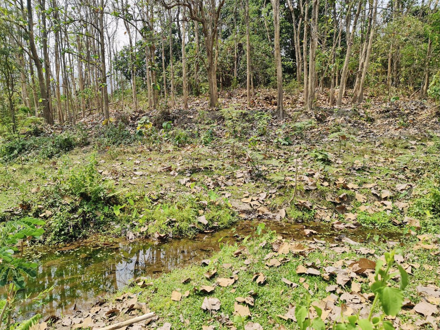 ขายที่เเปลงสวยหายาก-ติดเเม่น้ำ-11-ไร่-161-ตรว-ทางขึ้นดอยอินทนนท์