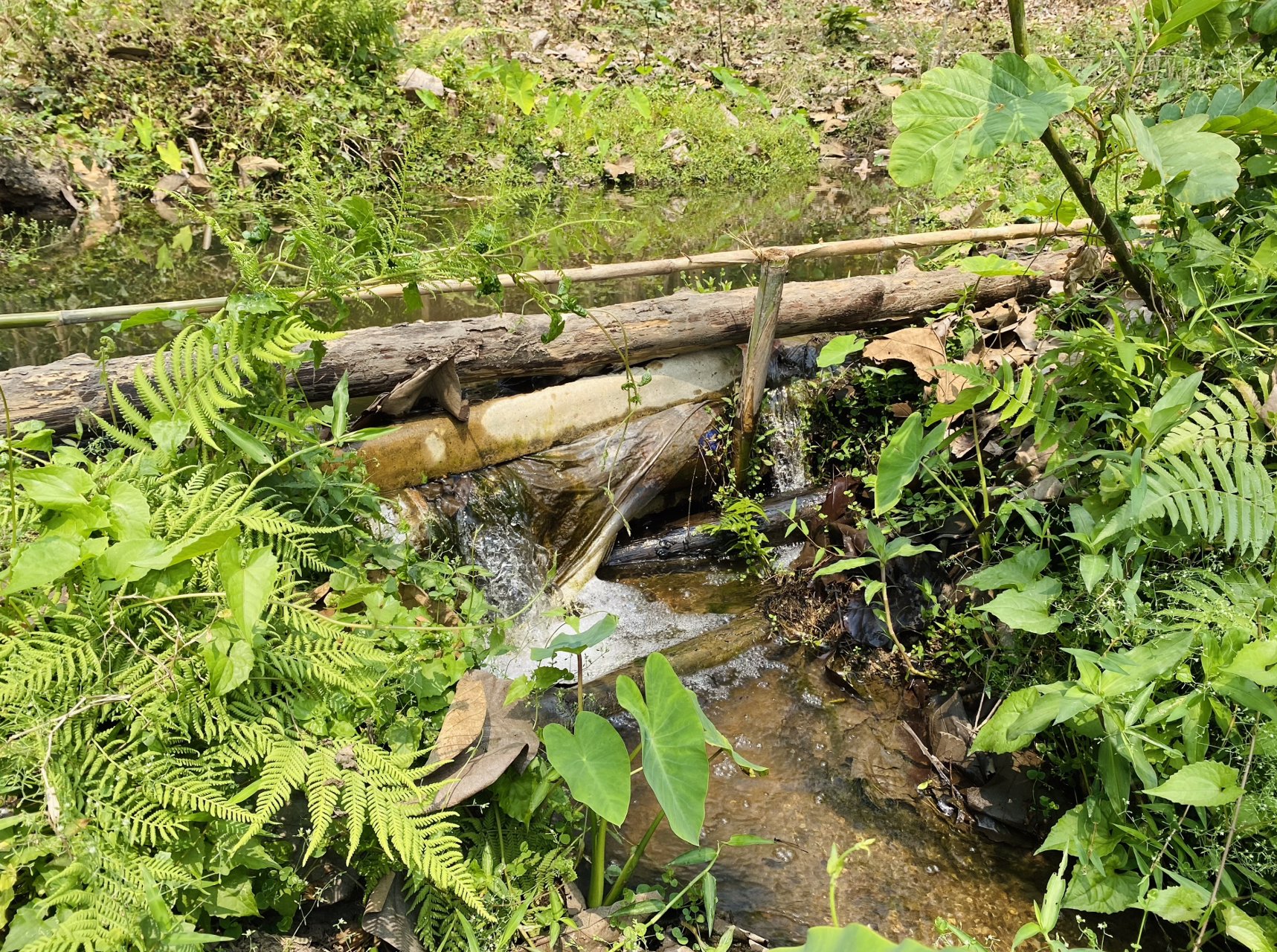 ขายที่เเปลงสวยหายาก-ติดเเม่น้ำ-11-ไร่-161-ตรว-ทางขึ้นดอยอินทนนท์