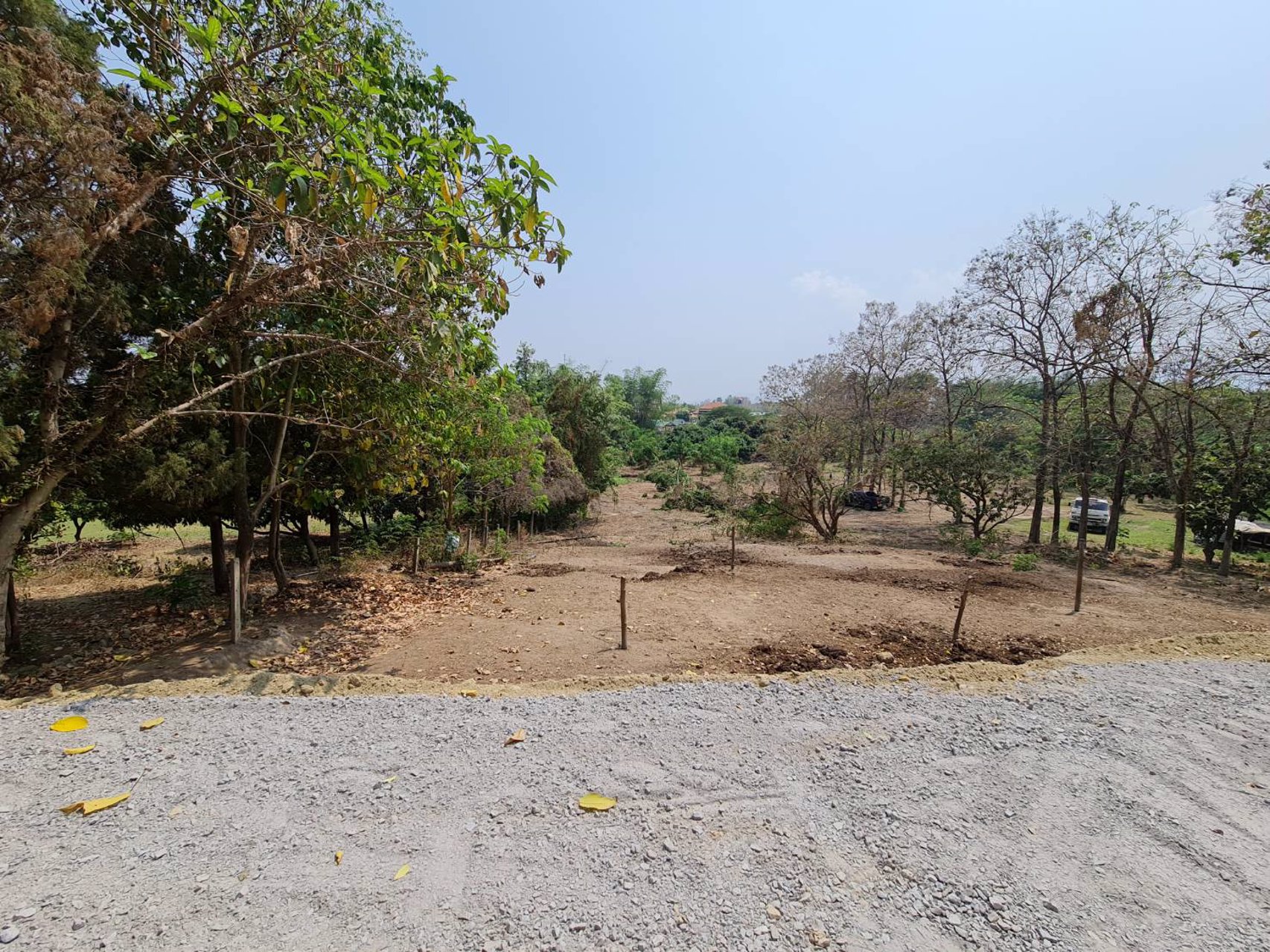 ขายที่เเปลงสวยหายาก-ติดเเม่น้ำ-3-ไร่-11-ตรว-ทางขึ้นดอยอินทนนท์