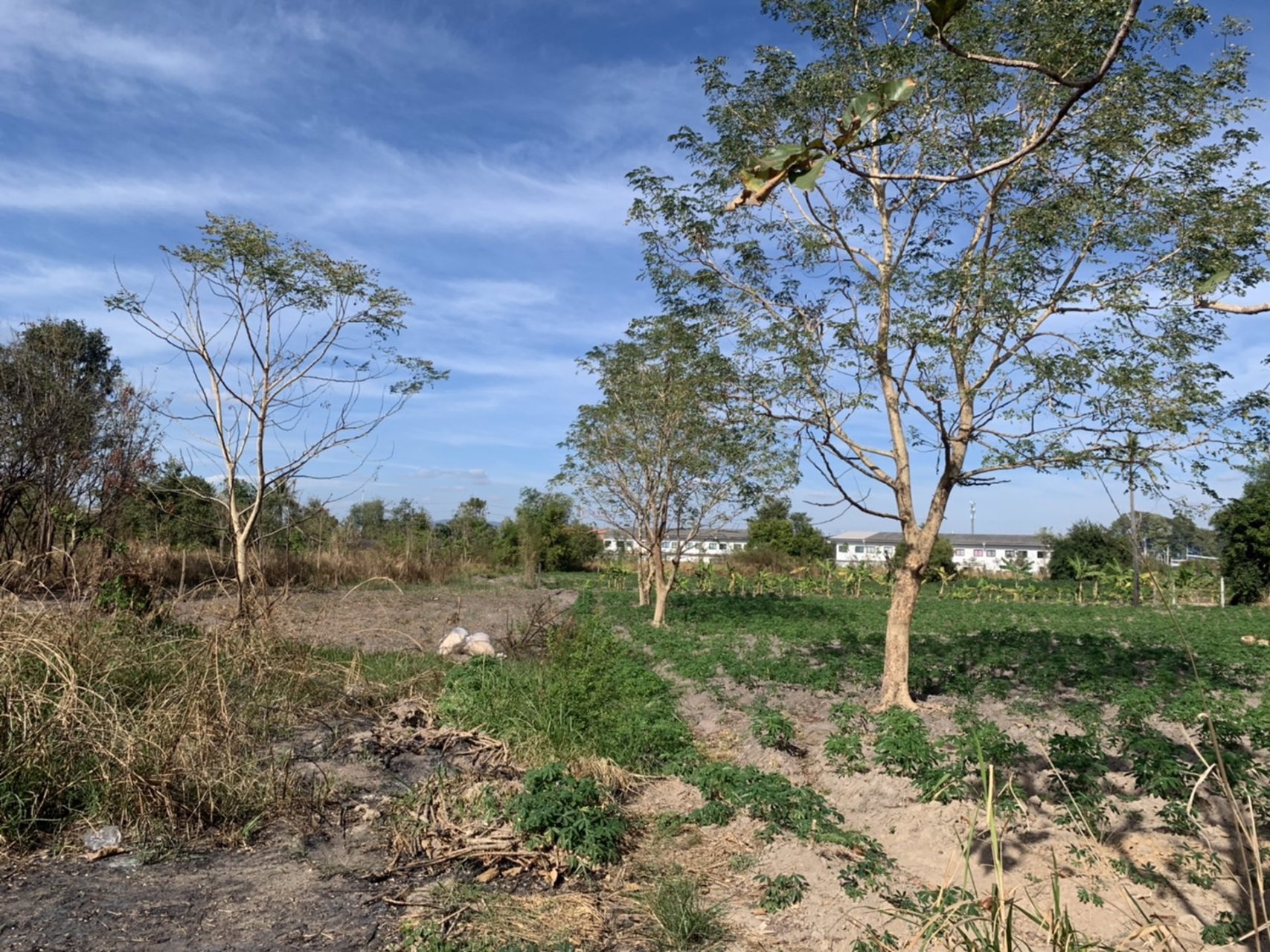 ขายที่ดิน-แถววัดหนองปรือ-อศรีราชา-จชลบุรี-เจ้าของขายเอง-