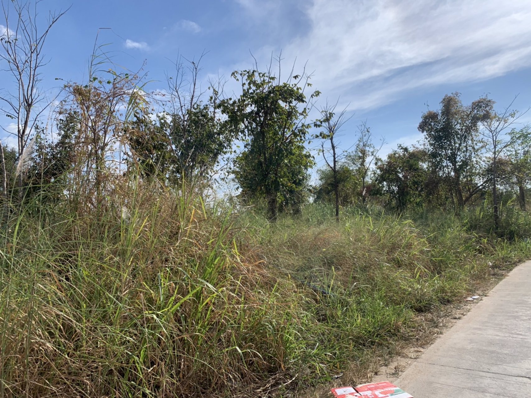 ขายที่ดิน-แถววัดหนองปรือ-อศรีราชา-จชลบุรี-เจ้าของขายเอง-