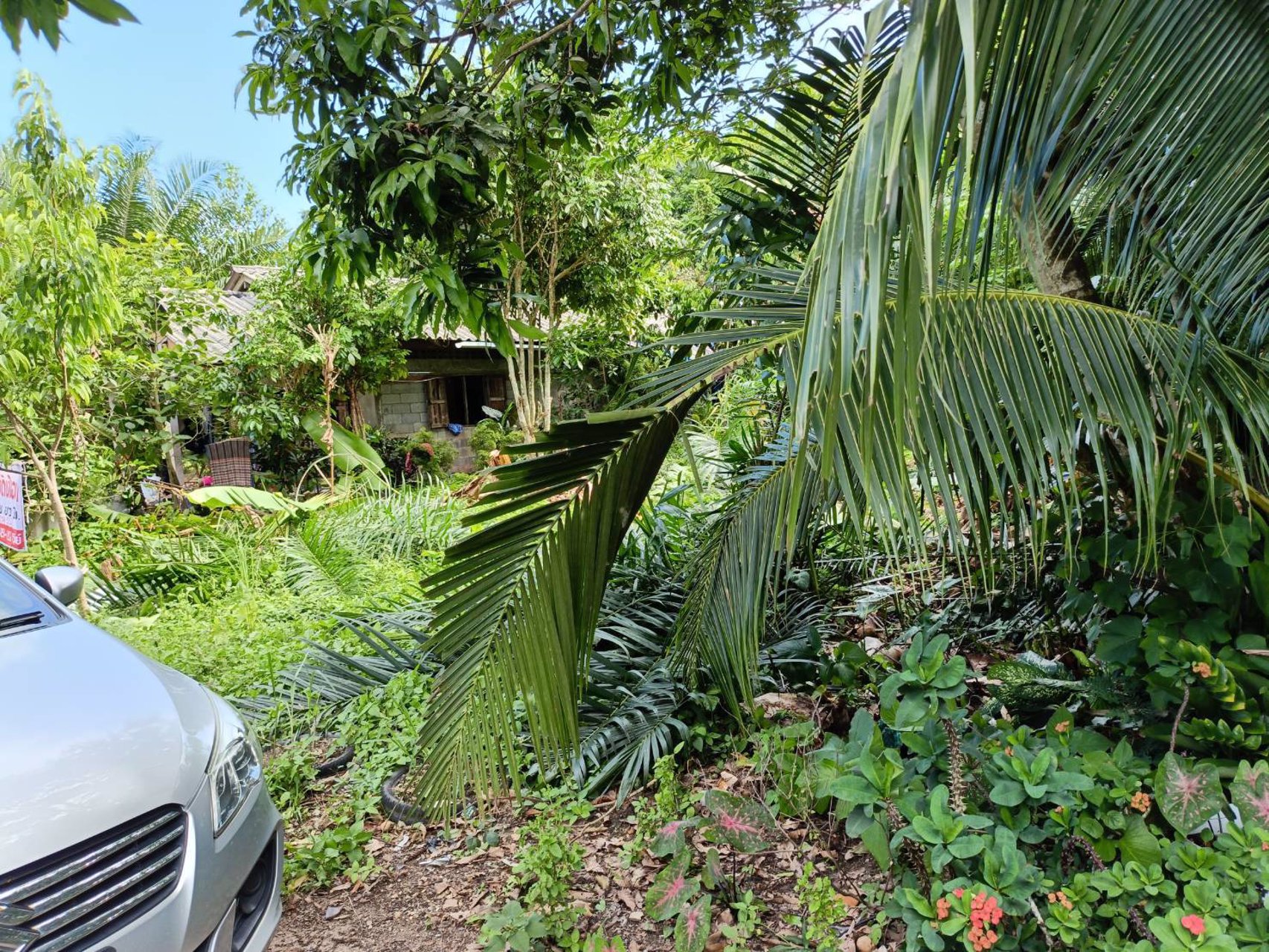 ขายที่ดินโฉนด-เจ้าของขายเอง-เกาะกลางลันตา