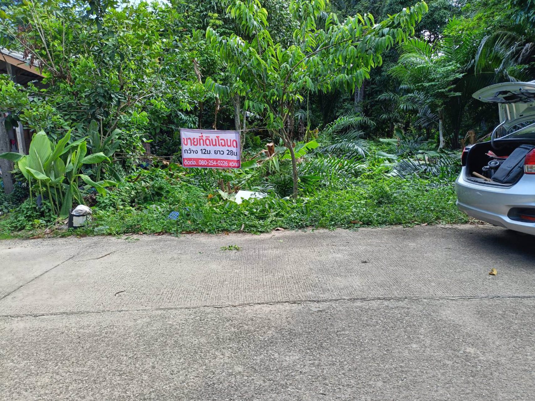 ขายที่ดินโฉนด-เจ้าของขายเอง-เกาะกลางลันตา