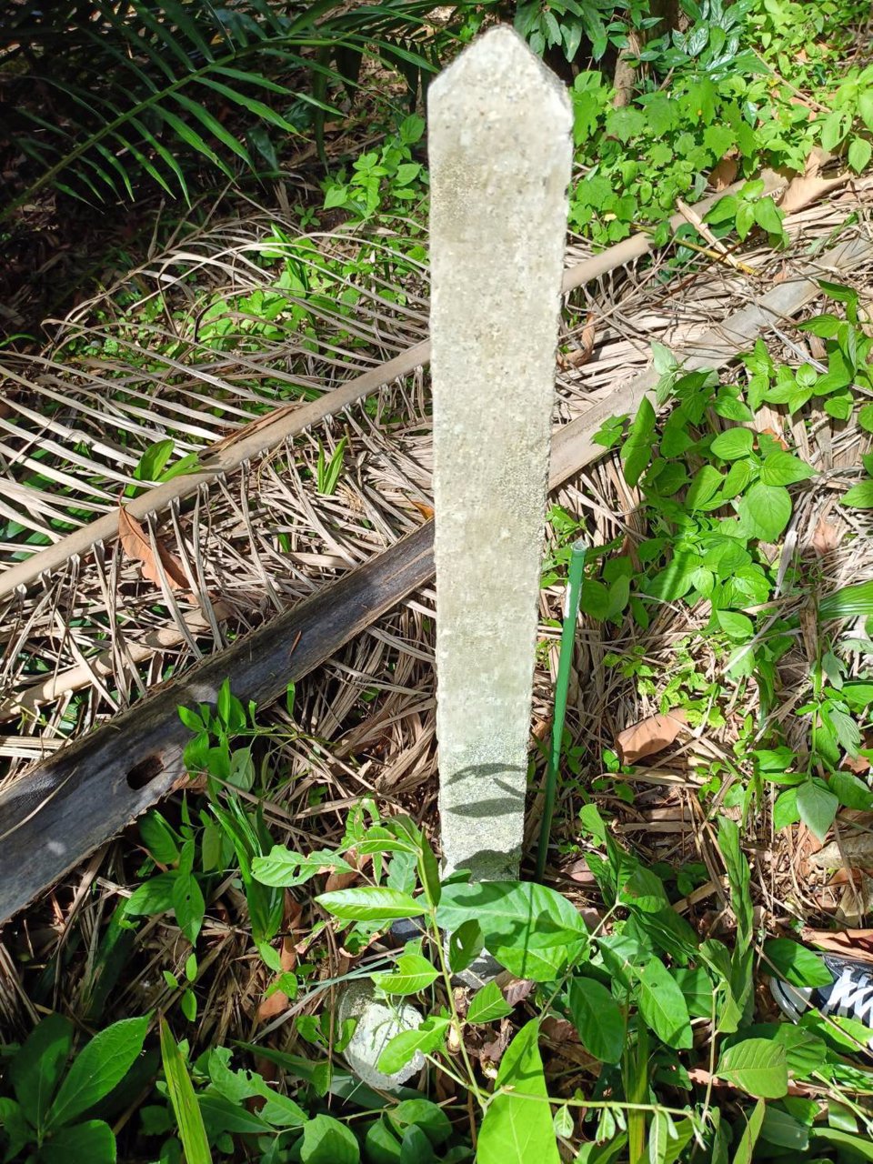 ขายที่ดินโฉนด-เจ้าของขายเอง-เกาะกลางลันตา