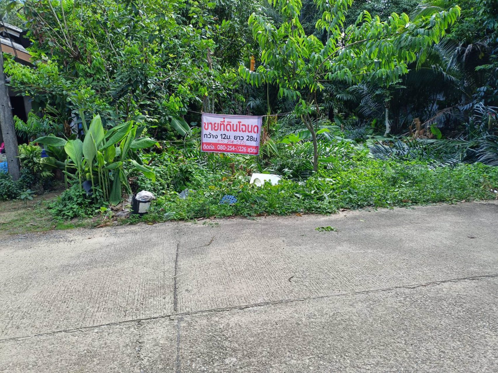 ขายที่ดินโฉนด-เจ้าของขายเอง-เกาะกลางลันตา