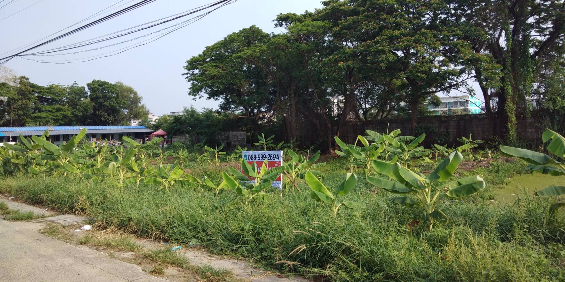 ขายที่ดินเปล่า​-ซอยกุญชร14​-ตรงข้ามจับปูใส่กระด้ง​-​ตำบลคลอง1-จังหวัดปทุมธานี​-พร้อมโอน​